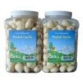 Fresh Garlic with High Quality